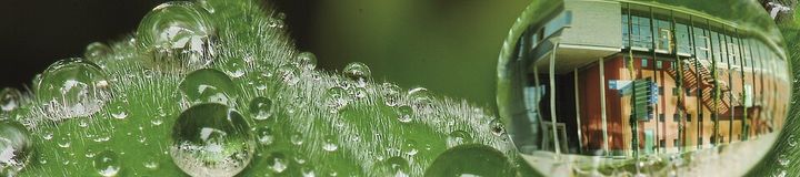 Universität Freiburg, Technische Fakultät, Institut für Nachhaltige Technische Systeme