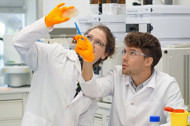 Du beschäftigst dich im Nanostudium mit biologischen, chemischen und physikalischen Phänomenen.