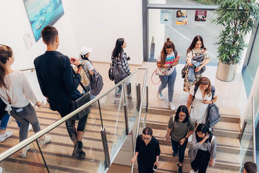 Modul University Vienna