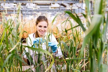 Bachelor Biotechnik3