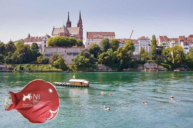 Basel hat im Sommer wie im Winter einiges zu bieten.