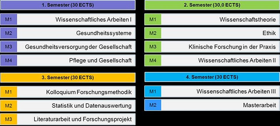 Grafik mit Studieninhalten des Masterstudiengangs