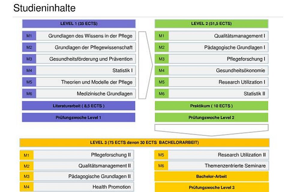 Grafik der Studieninhalte Pflegewissenschaft Online